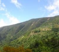 Top of Mount Avila
